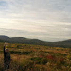 Meet your Posher, Jane